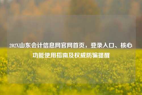202X山东会计信息网官网首页，登录入口、核心功能使用指南及权威防骗提醒