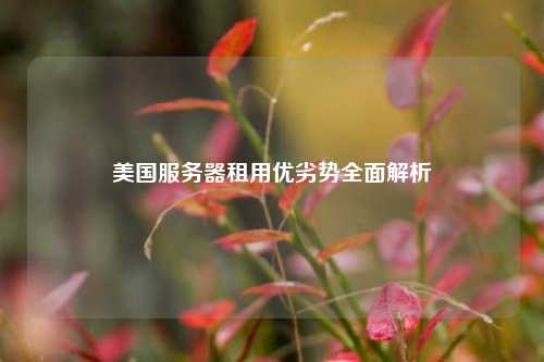 美国服务器租用优劣势全面解析