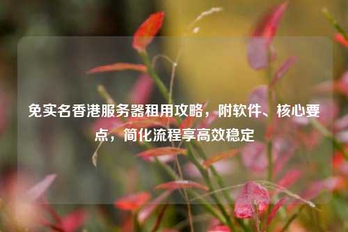 免实名香港服务器租用攻略，附软件、核心要点，简化流程享高效稳定