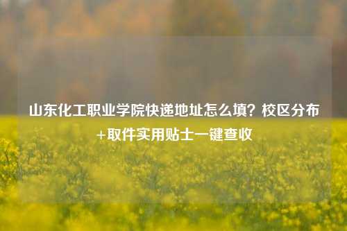 山东化工职业学院快递地址怎么填？校区分布+取件实用贴士一键查收