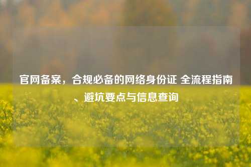 官网备案，合规必备的网络身份证 全流程指南、避坑要点与信息查询