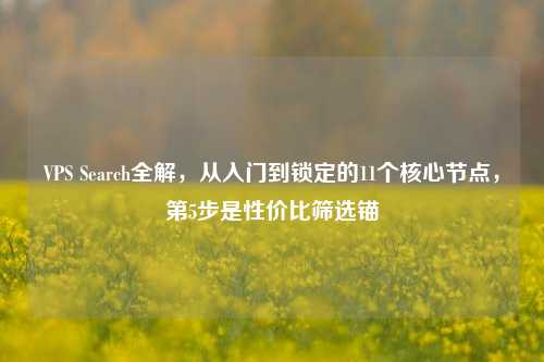 VPS Search全解，从入门到锁定的11个核心节点，第5步是性价比筛选锚