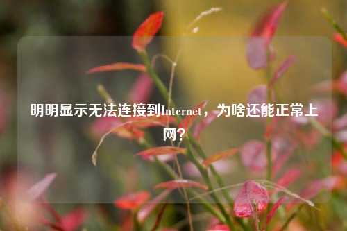 明明显示无法连接到Internet，为啥还能正常上网？