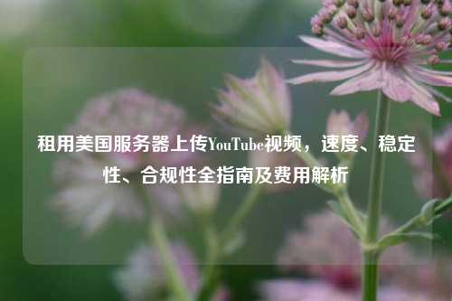 租用美国服务器上传YouTube视频，速度、稳定性、合规性全指南及费用解析