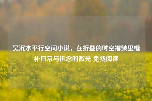 吴沉水平行空间小说，在折叠的时空褶皱里缝补日常与执念的微光 免费阅读