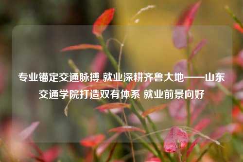 专业锚定交通脉搏 就业深耕齐鲁大地——山东交通学院打造双有体系 就业前景向好