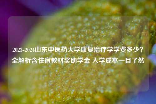 2023-2024山东中医药大学康复治疗学学费多少？全解析含住宿教材奖助学金 入学成本一目了然