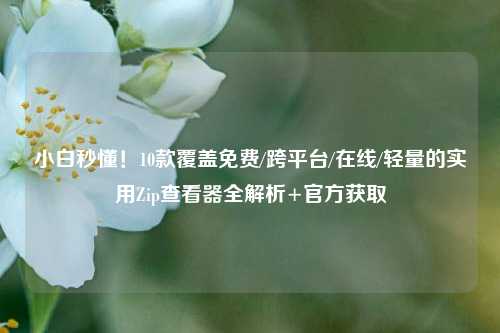 小白秒懂！10款覆盖免费/跨平台/在线/轻量的实用Zip查看器全解析+官方获取