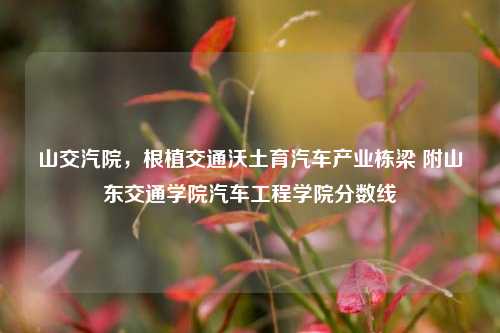 山交汽院，根植交通沃土育汽车产业栋梁 附山东交通学院汽车工程学院分数线