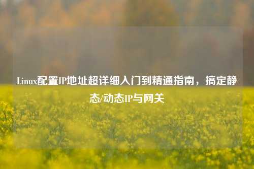 Linux配置IP地址超详细入门到精通指南，搞定静态/动态IP与网关