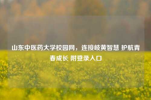 山东中医药大学校园网，连接岐黄智慧 护航青春成长 附登录入口