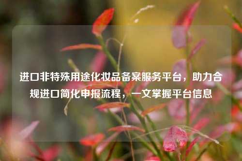 进口非特殊用途化妆品备案服务平台，助力合规进口简化申报流程，一文掌握平台信息