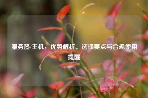 服务器/主机，优势解析、选择要点与合规使用提醒