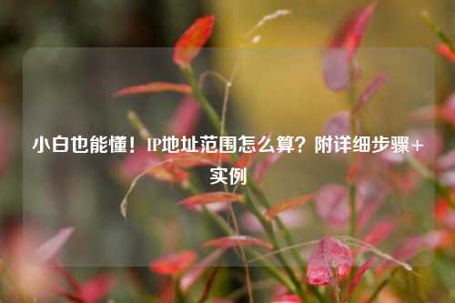 小白也能懂！IP地址范围怎么算？附详细步骤+实例