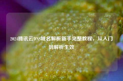 2024腾讯云DNS域名解析新手完整教程，从入门到解析生效