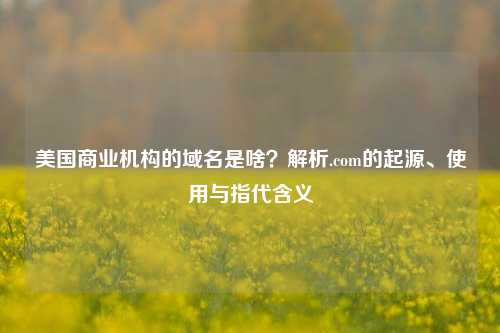 美国商业机构的域名是啥？解析.com的起源、使用与指代含义