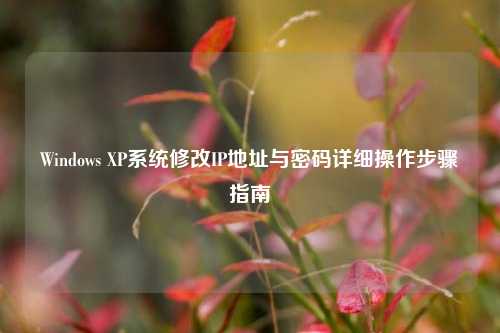Windows XP系统修改IP地址与密码详细操作步骤指南
