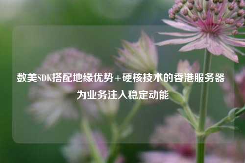 数美SDK搭配地缘优势+硬核技术的香港服务器 为业务注入稳定动能