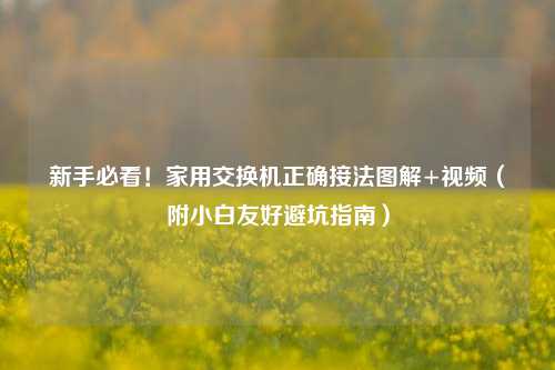新手必看！家用交换机正确接法图解+视频（附小白友好避坑指南）