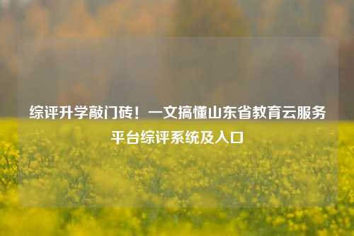 综评升学敲门砖！一文搞懂山东省教育云服务平台综评系统及入口