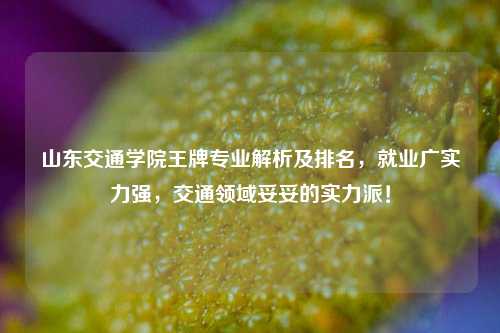 山东交通学院王牌专业解析及排名，就业广实力强，交通领域妥妥的实力派！