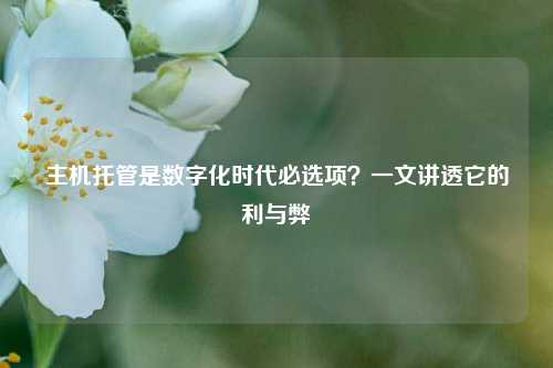 主机托管是数字化时代必选项？一文讲透它的利与弊