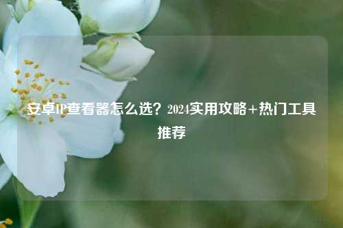 安卓IP查看器怎么选？2024实用攻略+热门工具推荐