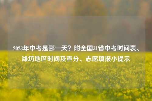 2023年中考是哪一天？附全国31省中考时间表、潍坊地区时间及查分、志愿填报小提示