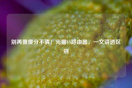 别再傻傻分不清！光猫VS路由器，一文讲透区别