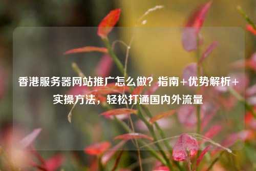 香港服务器网站推广怎么做？指南+优势解析+实操方法，轻松打通国内外流量