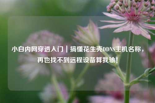 小白内网穿透入门｜搞懂花生壳DDNS主机名称，再也找不到远程设备算我输！