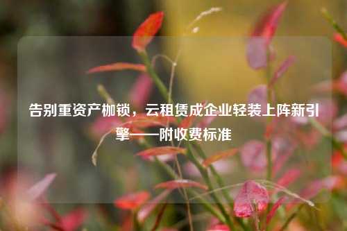 告别重资产枷锁，云租赁成企业轻装上阵新引擎——附收费标准