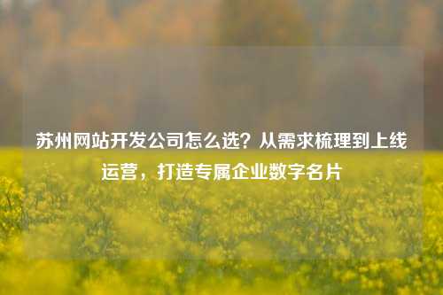 苏州网站开发公司怎么选？从需求梳理到上线运营，打造专属企业数字名片