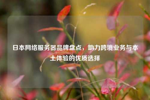 日本网络服务器品牌盘点，助力跨境业务与本土体验的优质选择
