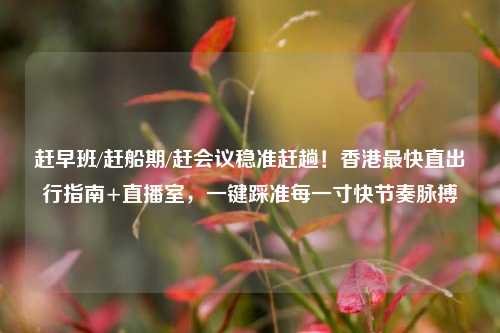 赶早班/赶船期/赶会议稳准赶趟！香港最快直出行指南+直播室，一键踩准每一寸快节奏脉搏