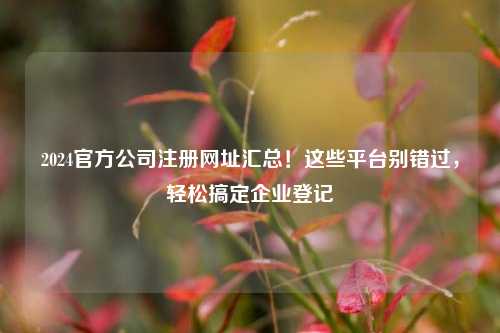 2024官方公司注册网址汇总！这些平台别错过，轻松搞定企业登记