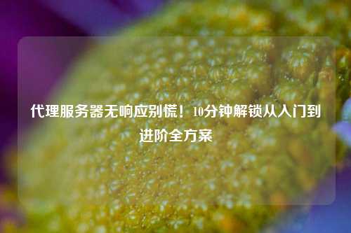 代理服务器无响应别慌!10分钟解锁从入门到进阶全方案