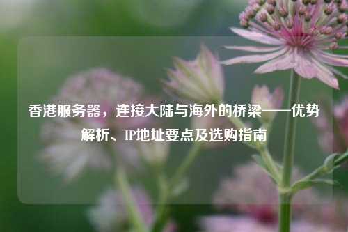 香港服务器，连接大陆与海外的桥梁——优势解析、IP地址要点及选购指南