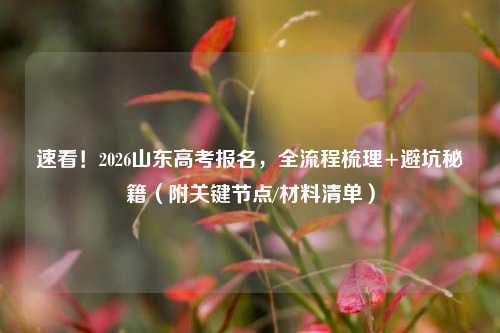 速看！2026山东高考报名，全流程梳理+避坑秘籍（附关键节点/材料清单）