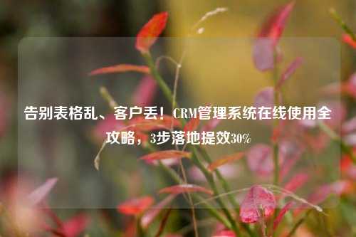 告别表格乱、客户丢！CRM管理系统在线使用全攻略，3步落地提效30%