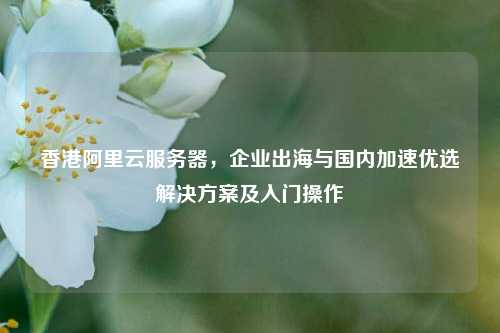 香港阿里云服务器，企业出海与国内加速优选解决方案及入门操作
