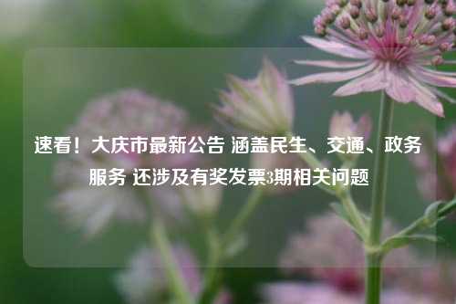 速看！大庆市最新公告 涵盖民生、交通、政务服务 还涉及有奖发票3期相关问题