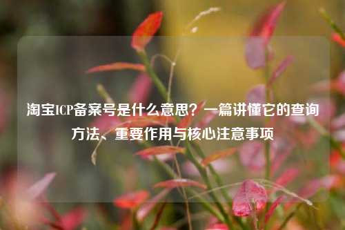 淘宝ICP备案号是什么意思？一篇讲懂它的查询方法、重要作用与核心注意事项