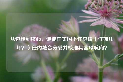 从边缘到核心，谁能在美国下任总统（任期几年？）任内缝合分裂并校准其全球航向？