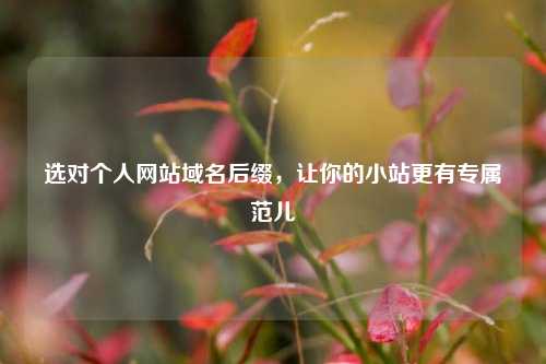 选对个人网站域名后缀，让你的小站更有专属范儿