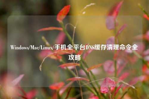 Windows/Mac/Linux/手机全平台DNS缓存清理命令全攻略
