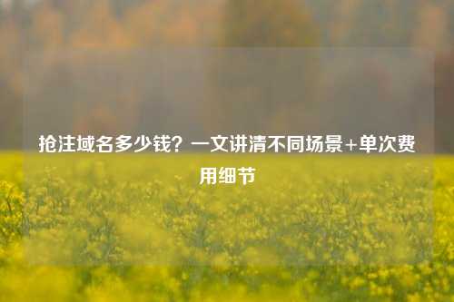 抢注域名多少钱？一文讲清不同场景+单次费用细节