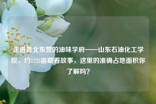 走进鲁北东营的油味学府——山东石油化工学院，约1725亩藏着故事，这里的准确占地面积你了解吗？