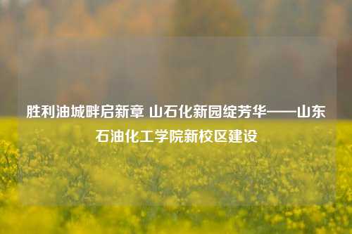 胜利油城畔启新章 山石化新园绽芳华——山东石油化工学院新校区建设