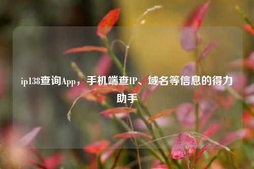 ip138查询App，手机端查IP、域名等信息的得力助手